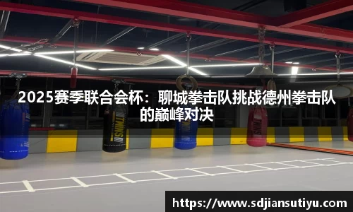 2025赛季联合会杯：聊城拳击队挑战德州拳击队的巅峰对决